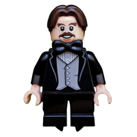 71022 colhp13 Professor Filius Flitwick